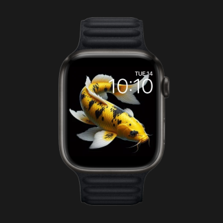 Koi Fish v3